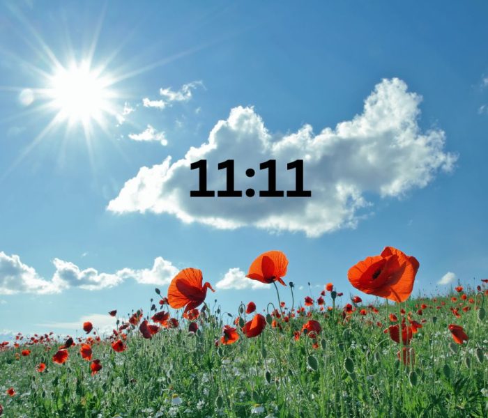 An 11:11 Story for Remembrance Day – Nov 11th, 2023