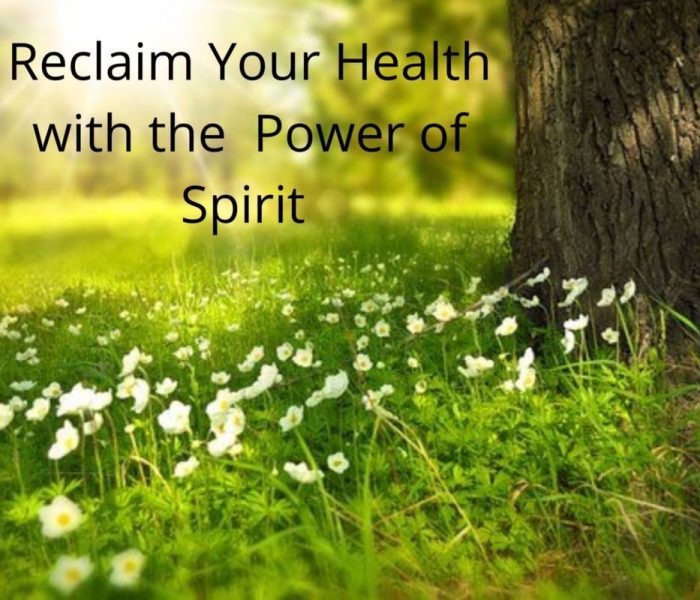 Reclaim Your Health – Mind, Body & Soul with Spirit for 2022!